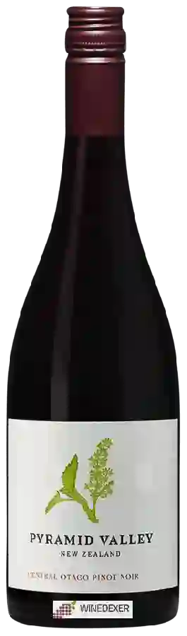 Winery Pyramid Valley Vineyards - Pinot Noir