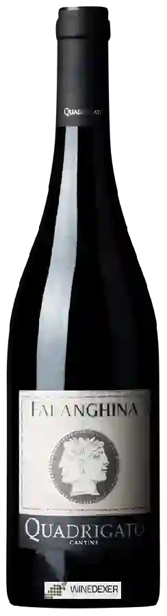 Winery Quadrigato - Falanghina