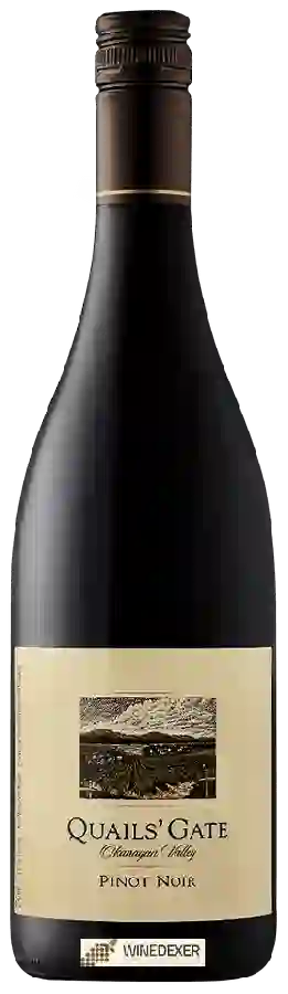 Winery Quails' Gate - Pinot Noir Winery Quails' Gate - Pinot Noir