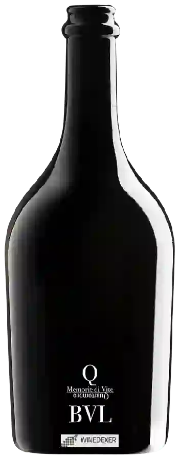Winery Quartomoro - BVL Memorie di Vite Winery Quartomoro - BVL Memorie di Vite
