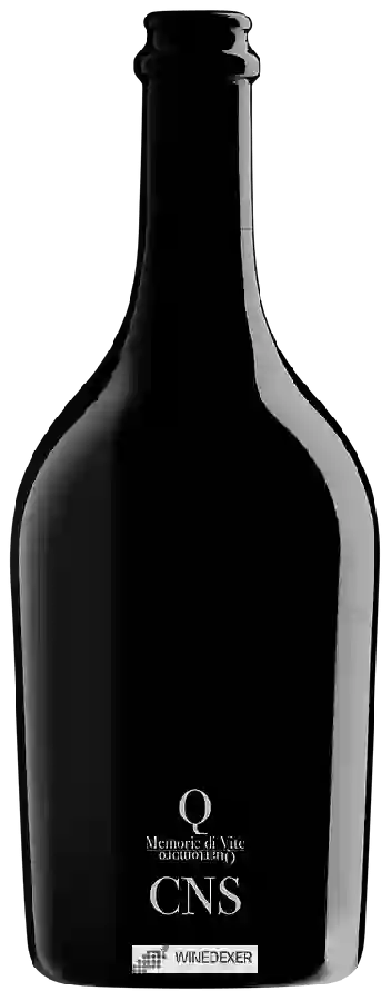 Winery Quartomoro - CNS Memorie di Vite