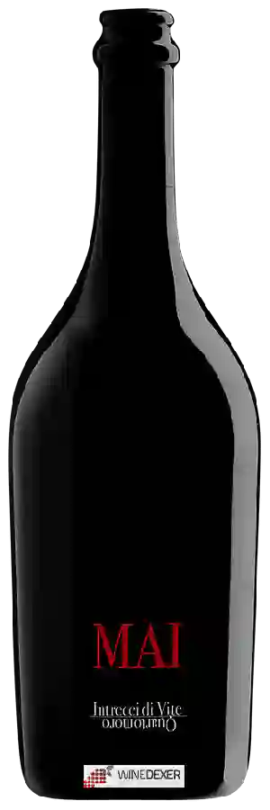 Winery Quartomoro - MAI Intrecci di Vite Winery Quartomoro - MAI Intrecci di Vite