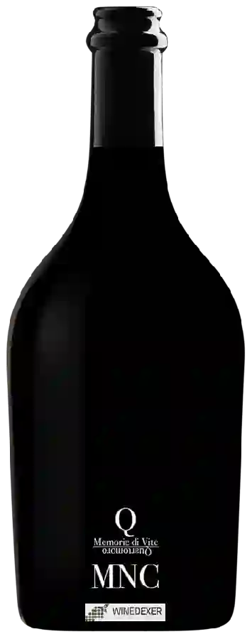 Winery Quartomoro - MNC Memorie di Vite Winery Quartomoro - MNC Memorie di Vite