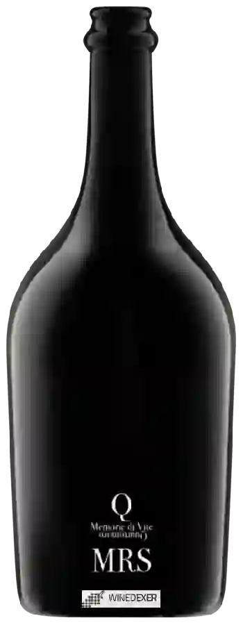 Winery Quartomoro - MRS Memorie di Vite