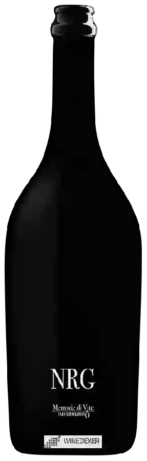 Winery Quartomoro - NRG Memorie di Vite Winery Quartomoro - NRG Memorie di Vite