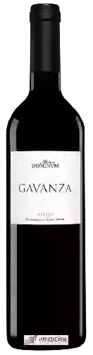 Winery Maetierra Dominum - Gavanza Crianza