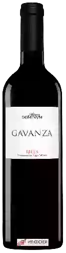 Winery Maetierra Dominum - Gavanza Tinto