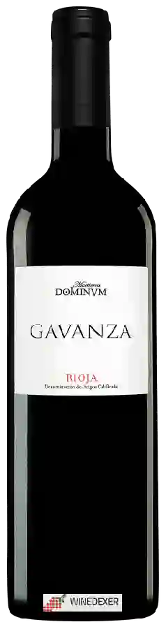 Winery Maetierra Dominum - Gavanza Tinto Winery Maetierra Dominum - Gavanza Tinto