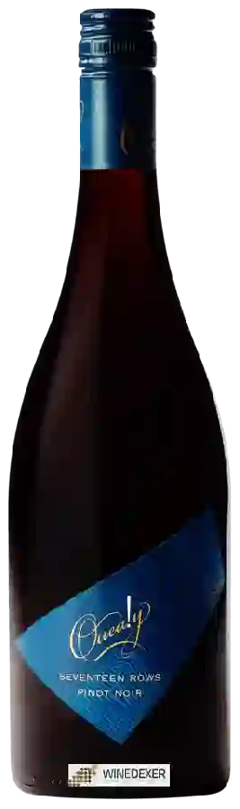 Winery Quealy - Seventeen Rows Pinot Noir