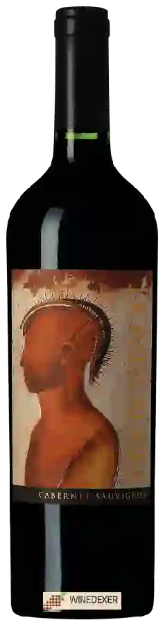 Winery Quebrada de Macul - Domus Aurea Cabernet Sauvignon