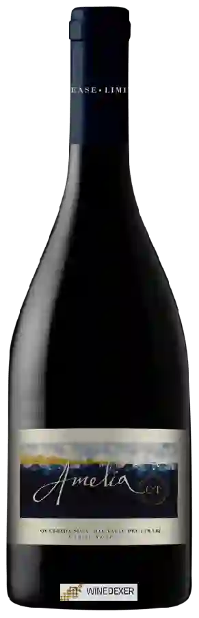 Winery Quebrada Seca - Amelia Quebrada Seca Pinot Noir