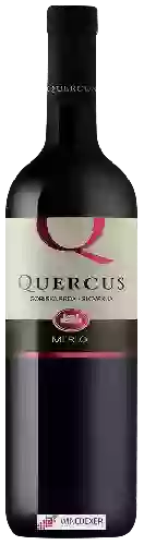 Winery Quercus - Merlot