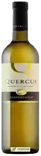 Winery Quercus - Sauvignonasse