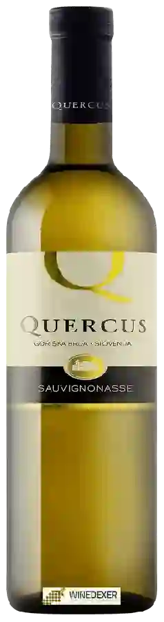 Winery Quercus - Sauvignonasse Winery Quercus - Sauvignonasse
