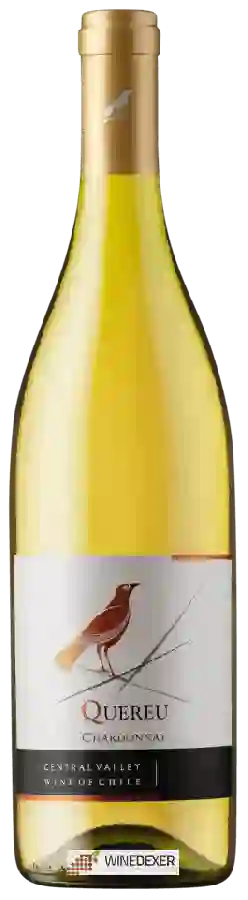 Winery Quereu - Chardonnay Winery Quereu - Chardonnay