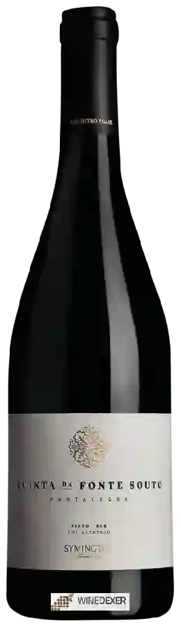 Winery Quinta da Fonte Souto - Tinto