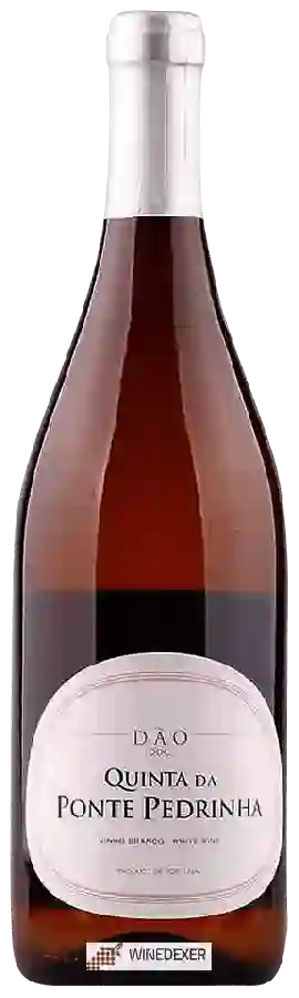 Winery Quinta da Ponte Pedrinha - Branco