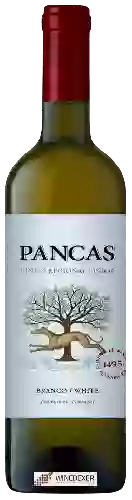 Winery Quinta de Pancas - Branco