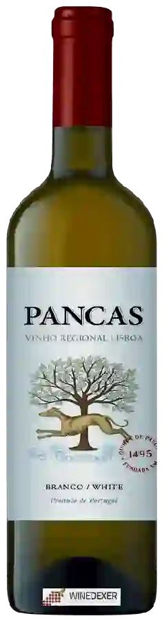 Winery Quinta de Pancas - Branco