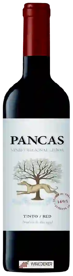 Winery Quinta de Pancas - Tinto