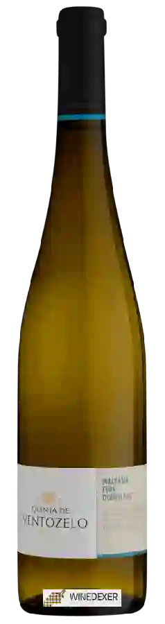 Winery Quinta de Ventozelo - Malvasia Fina Winery Quinta de Ventozelo - Malvasia Fina