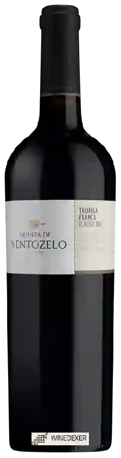 Winery Quinta de Ventozelo - Touriga Franca Winery Quinta de Ventozelo - Touriga Franca