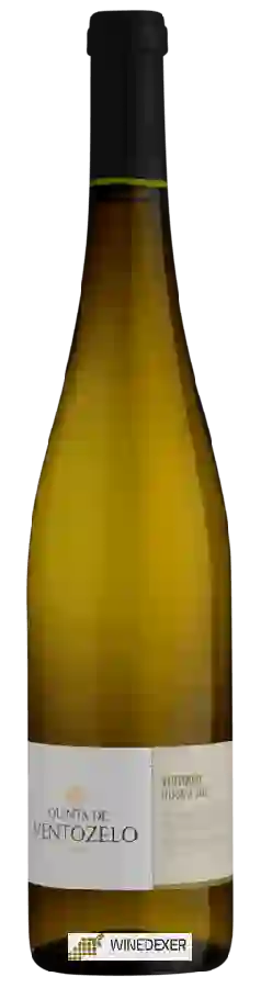 Winery Quinta de Ventozelo - Viosinho