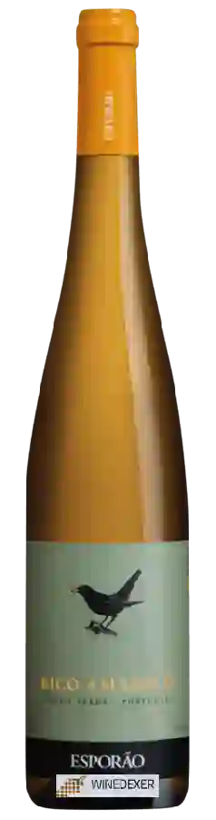 Winery Quinta do Ameal - Bico Amarelo