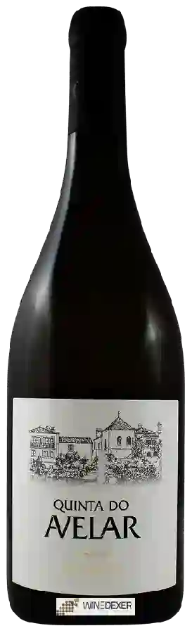 Winery Quinta do Avelar - Arinto