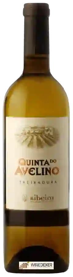 Winery Quinta do Avelino - Treixadura