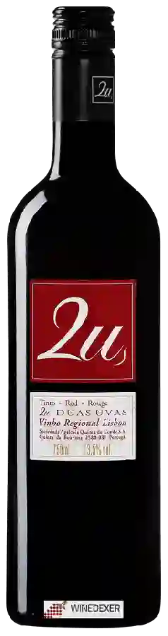 Winery Quinta do Conde - 2u Duas Uvas Tinto Winery Quinta do Conde - 2u Duas Uvas Tinto