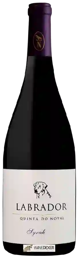Winery Quinta do Noval - Syrah Labrador