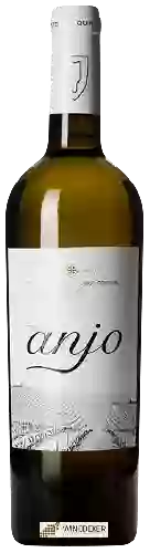 Winery Quinta do Pinto - Terras do Anjo Branco