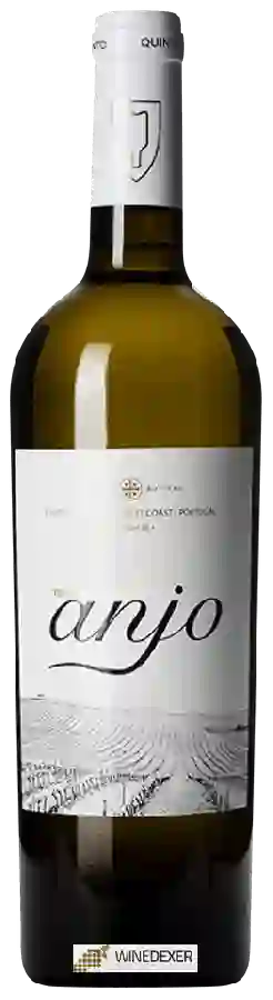 Winery Quinta do Pinto - Terras do Anjo Branco Winery Quinta do Pinto - Terras do Anjo Branco