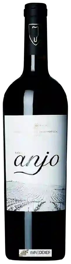 Winery Quinta do Pinto - Terras do Anjo Tinto Winery Quinta do Pinto - Terras do Anjo Tinto