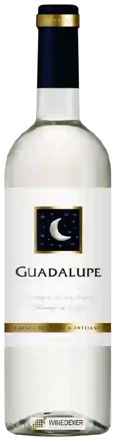 Winery Quinta do Quetzal - Guadalupe Branco