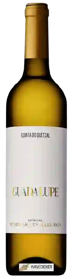 Winery Quinta do Quetzal - Guadalupe Winemaker's Selection Branco Winery Quinta do Quetzal - Guadalupe Winemaker's Selection Branco