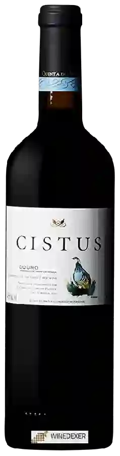 Winery Quinta do Vale da Perdiz - Cistus Tinto Winery Quinta do Vale da Perdiz - Cistus Tinto