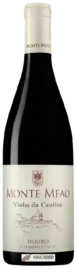 Winery Quinta do Vale Meão - Monte Meão Vinha da Cantina Winery Quinta do Vale Meão - Monte Meão Vinha da Cantina