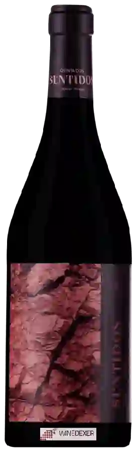 Winery Quinta dos Sentidos - Tato Tinto