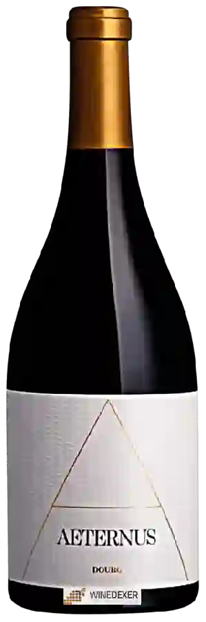 Winery Quinta Nova de Nossa Senhora do Carmo - Aeternus