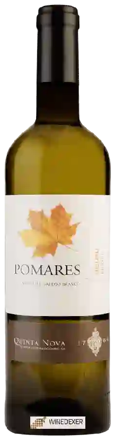Winery Quinta Nova de Nossa Senhora do Carmo - Pomares Moscatel Galego Branco