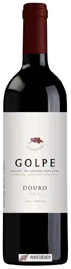 Winery Carvalho Martins - Golpe Tinto