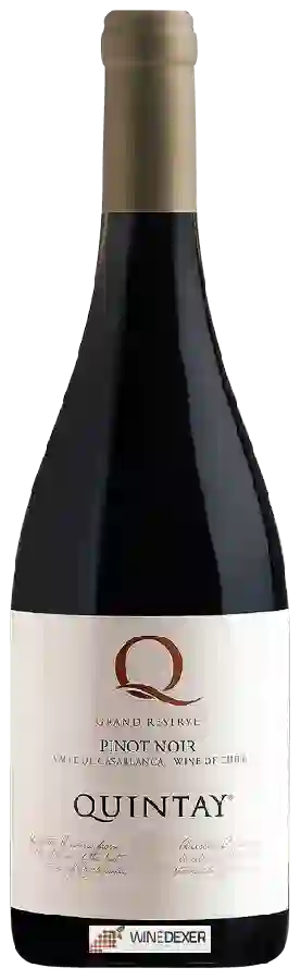 Winery Quintay - Q Grand Reserve Pinot Noir
