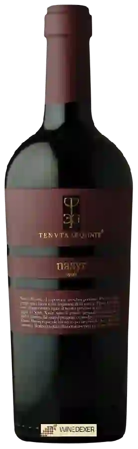 Winery Tenuta le Quinte - Nasyr Syrah Winery Tenuta le Quinte - Nasyr Syrah