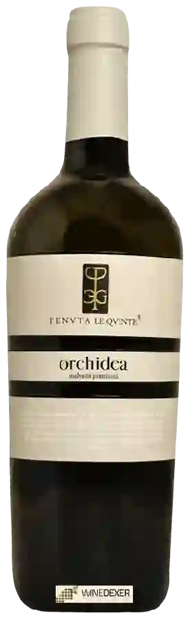 Winery Tenuta le Quinte - Orchidea