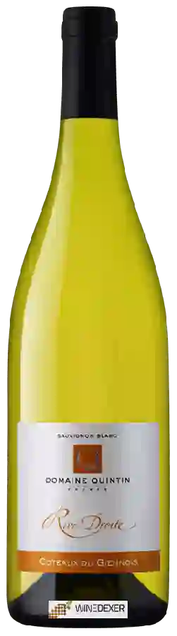 Domaine Quintin Frères - Rive Droite Coteaux du Giennois Domaine Quintin Frères - Rive Droite Coteaux du Giennois