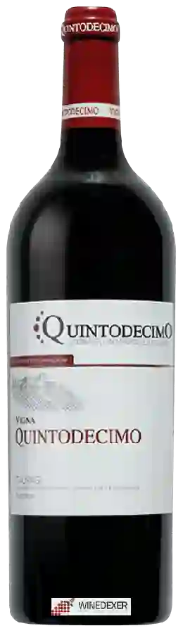 Winery Quintodecimo - Taurasi Riserva Winery Quintodecimo - Taurasi Riserva