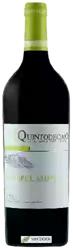 Winery Quintodecimo - Via del Campo Falanghina