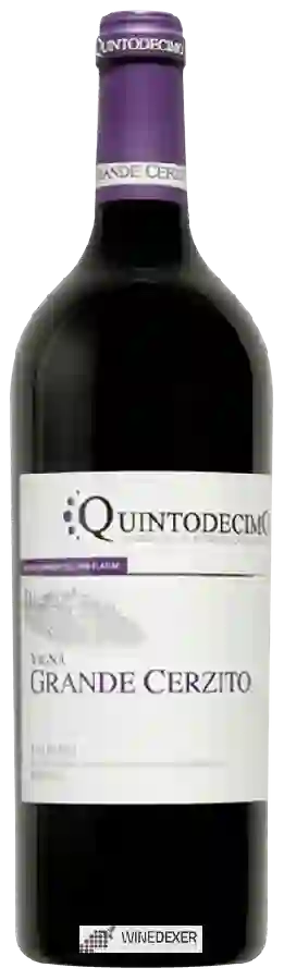 Winery Quintodecimo - Vigna Grande Cerzito Taurasi Riserva
